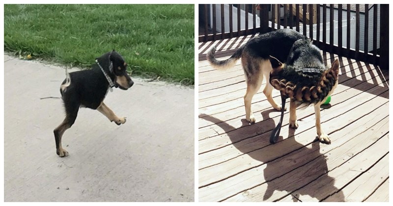 16 ljudi pokušalo je slikati panoramske fotke s ljubimcima u kadru. Nije dobro završilo.