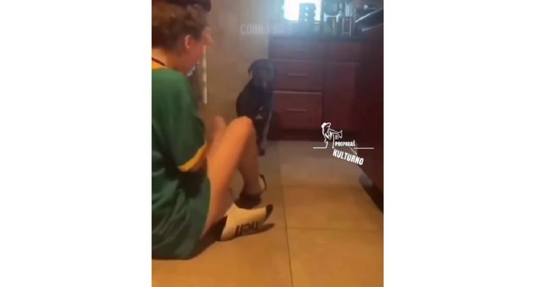 Glumila je napadaj pred psom- njegov potez prvo joj je utjerao strah u kosti, pa nasmijao do suza