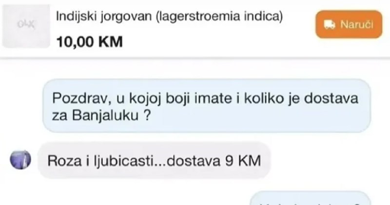 Žena je htjela naručiti biljku iz online trgovine, dopisivanje s prodavačem nasmijalo je tisuće