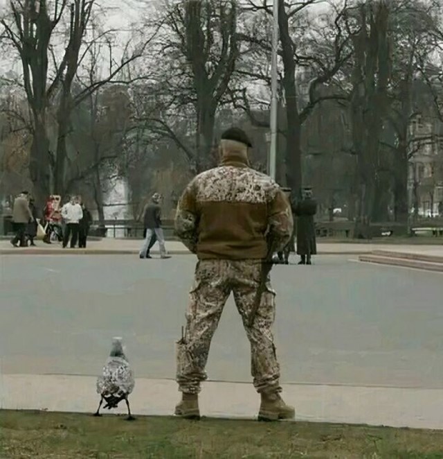 Građani ovog grada su sigurni uz ovaj duo!