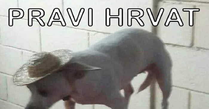 Fora o glazbenom ukusu prosječnog Rvata podijelila je Fejs, mnoge će naljutiti