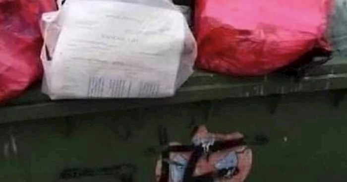 Morate vidjeti što je netko pronašao u kontejneru za smeće, prizor je ujedno urnebesan i tužan