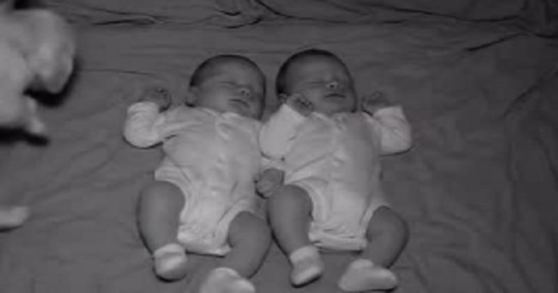 Mama je preko kamere gledala blizanke kako spavaju, a onda se dogodila najslađa stvar ikad