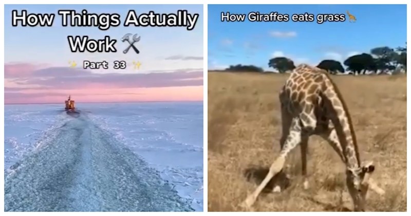 Instagram profil objašnjava kako zapravo funkcioniraju stvari oko nas. Fascinirat će vas!