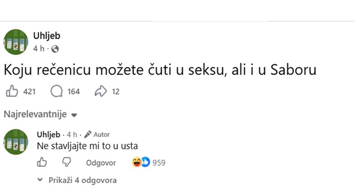 Na Fejsu raspravljaju o stvarima koje možeš reći u Saboru i tokom seksa. Komentari su čisto zlato