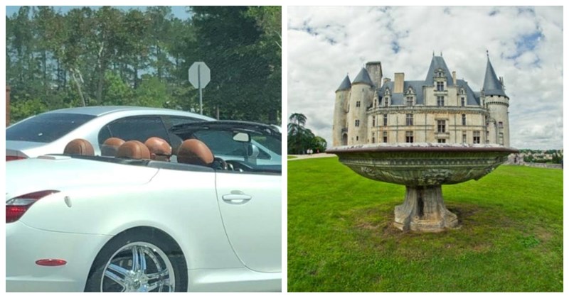 14 puta kada su ljudi fotkali prefora prizore i morali su ih svima pokazati