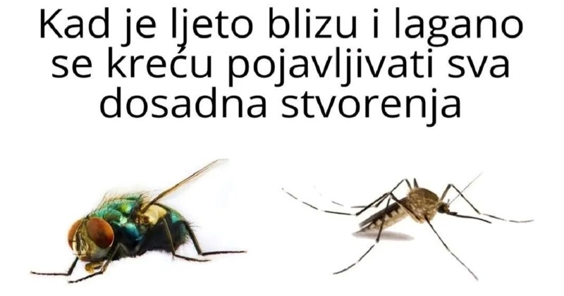 Fora o ljetnim krvopijama i ostalim dosadnjakovićima hit je na Fejsu, neke bi mogla naljutiti