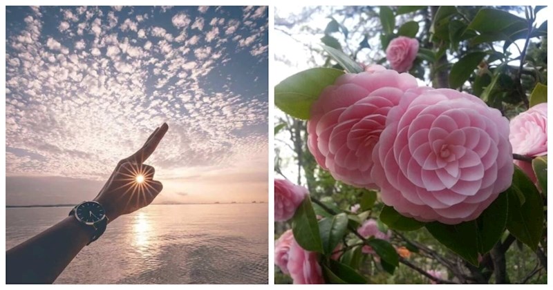 22 smirujuće fotografije zbog kojih ćete imati osjećaj da je svijetom zavladala harmonija