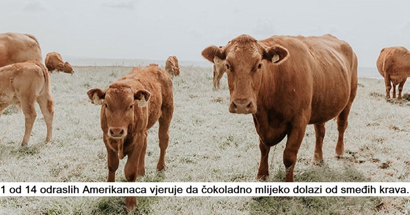 10 poražavajućih statističkih činjenica zbog kojih ćete se zapitati u kakvom društvu živimo