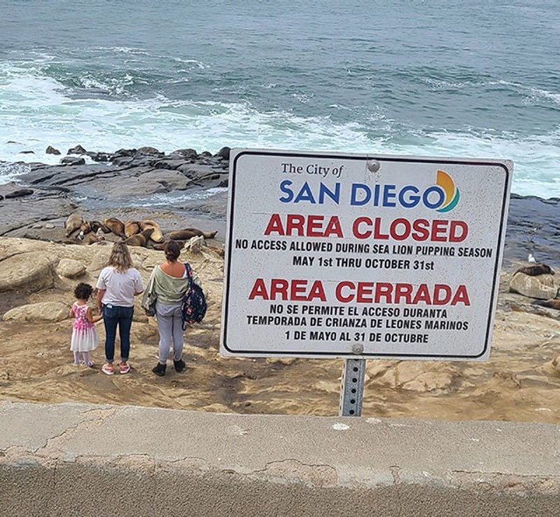 Pravila za njih ne vrijede...