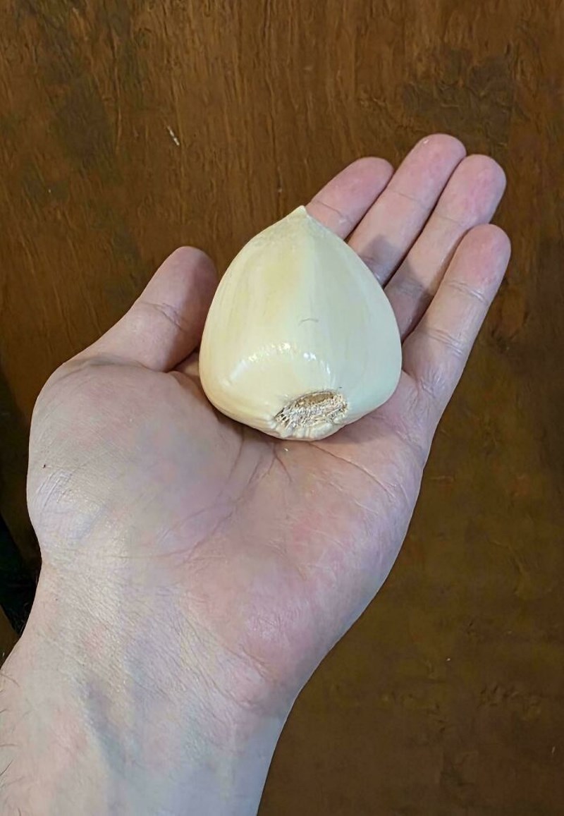 E ovakav češnjak nama treba!