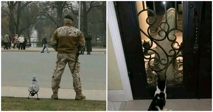 16 čudnih, ali predivnih prizora koje vjerojatno dosad niste imali priliku vidjeti