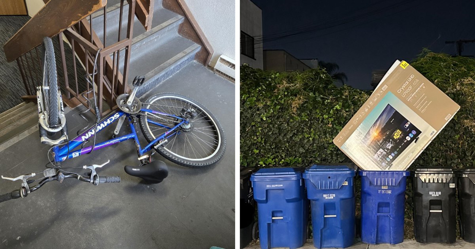 15 susjeda iz pakla zbog kojih su ovi ljudi poželjeli preseliti u prašumu
