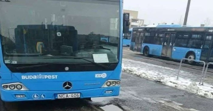 Prizor iz Budimpešte šokirao je Fejs, morate vidjeti što se događa nasred ceste