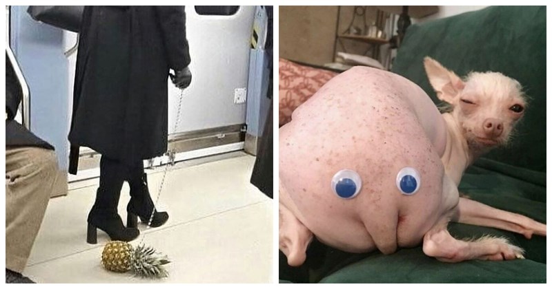 20 totalno bizarnih, ali urnebesnih prizora koje je teško opisati ikakvim dosad poznatim riječima