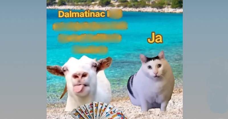 Foru o Dalmatincima i ljudima iz ostatka države lajkaju tisuće na Fejsu, urnebesna je