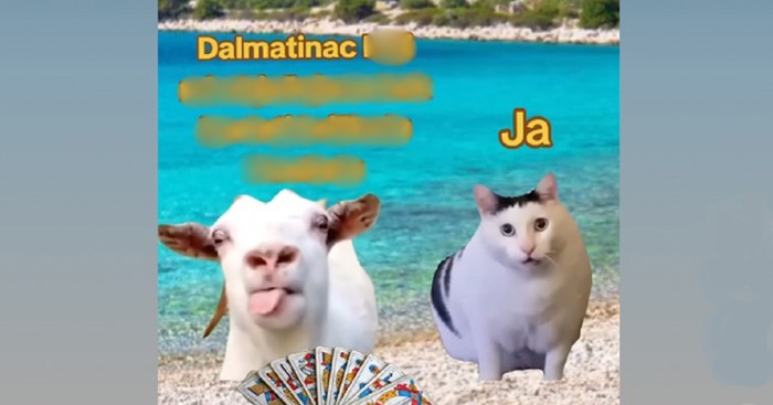 Foru o Dalmatincima i ljudima iz ostatka države lajkaju tisuće na Fejsu, urnebesna je