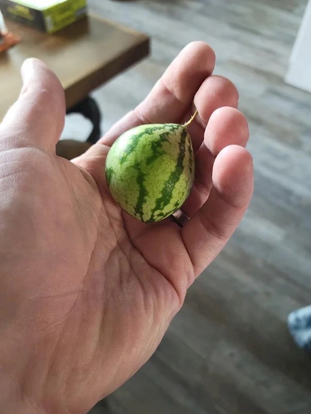 Malo sam se preračunao u vezi deserta za obitelj
