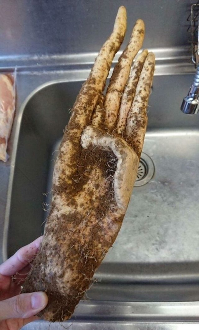 1.