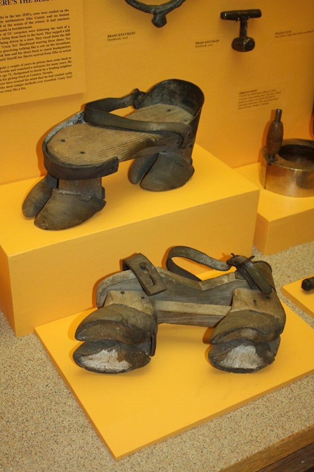 Cipele koje je 1920-ih izumio i koristio kradljivac stoke po imenu ′′ludi Tex Hazel′′ kako bi sakrio otiske stopala dok je krao krave