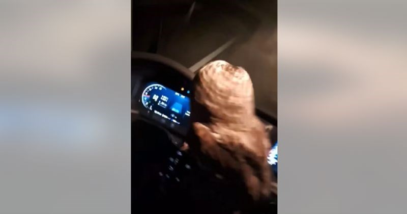 Kamiondžiji Anti se u večernjoj vožnji pridružio neobična suputnica, video je raznježio tisuće