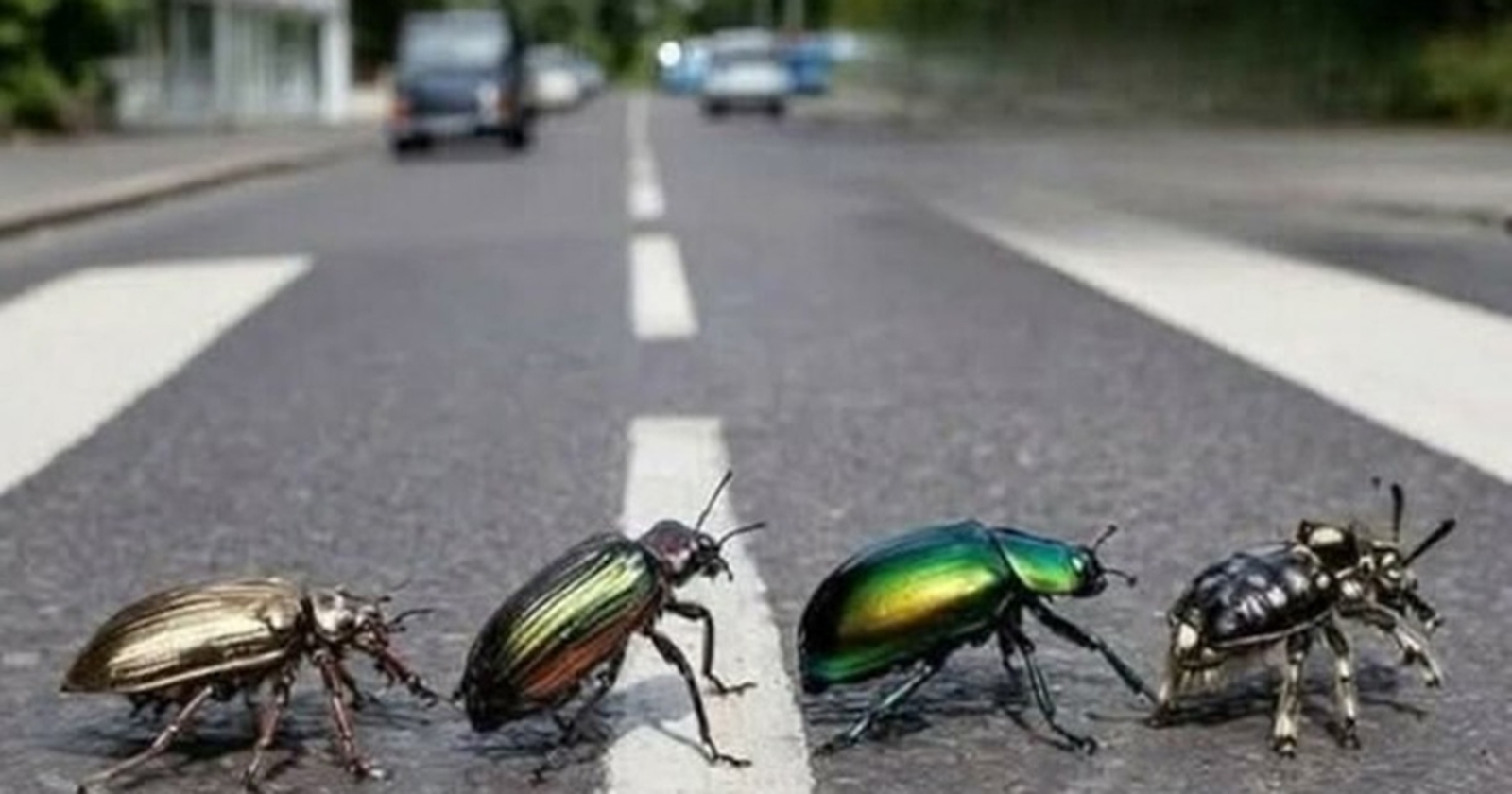 15 fotografija koje su bez konteksta potpuno bizarne, ali i nevjerojatno smiješne