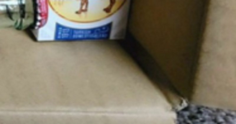 Homemade jaslice ovog tipa obišle su svijet, teško da ćete vidjeti išta komičnije ove godine