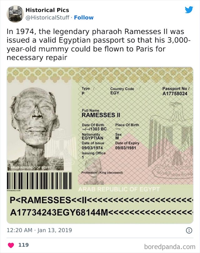 Da bi ga prebacili do Pariza i napravili potrebne pothvate za očuvanje kostura, Ramzesu II je napravljena putovnica