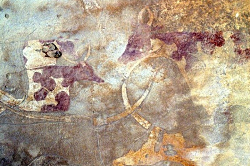 Ljudi su tisućama godina koristili kravlje mlijeko za izradu boja kojima su oslikavali pećine, prije nego što je itko pomislio piti ga