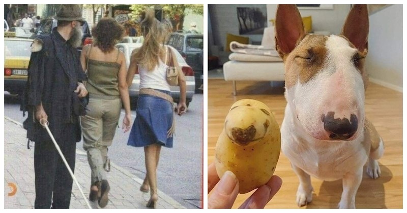 11 smiješnih prizora koji će vam momentalno popraviti dan, svaki je bolji od prethodnog