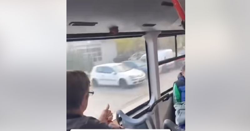 Snimka iz jednog busa negdje na Balkanu postala je viralni hit na Fejsu, odmah ćete vidjeti zašto