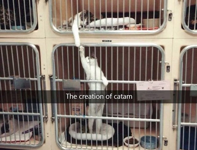 11.