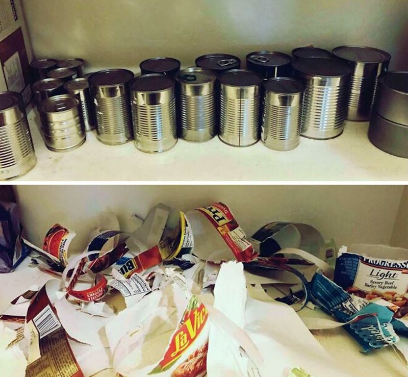 Moj sin se zaigrao u smočnici