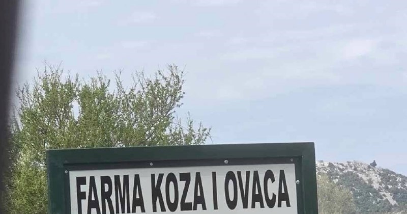 Ime jedne farme koza i ovaca apsolutni je hit na mrežama, ideja je genijalna