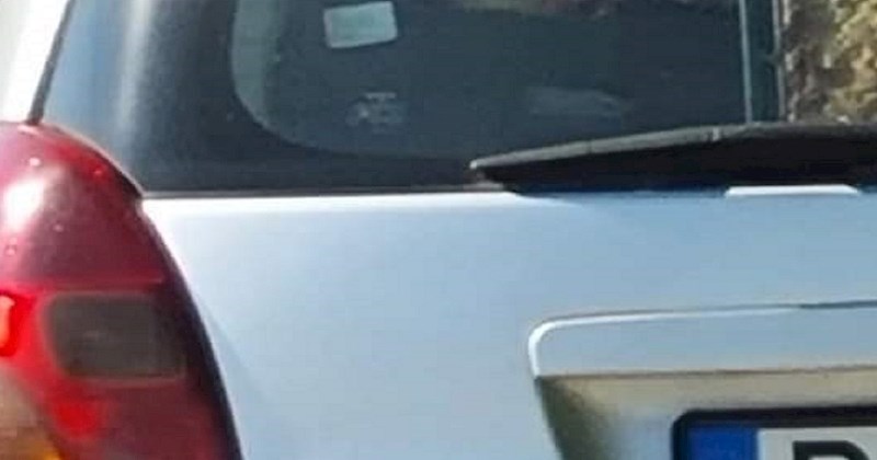 Sadržaj prtljažnika mađarskih turista, fotkanih na putu za Istru, hit je na Fejsu. Ovo je kraj!