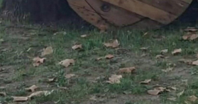 Netko je na optičkim kabelima primijetio tragikomičan natpis i morao ga je svima pokazati, hit je