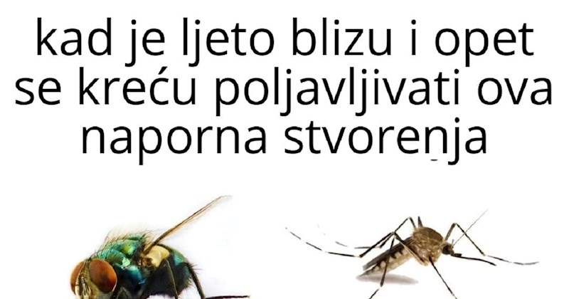 Svi dijele hit foru o napornim ljetnim stvorenjima, odmah ćete vidjeti zašto je baš danas aktualna!