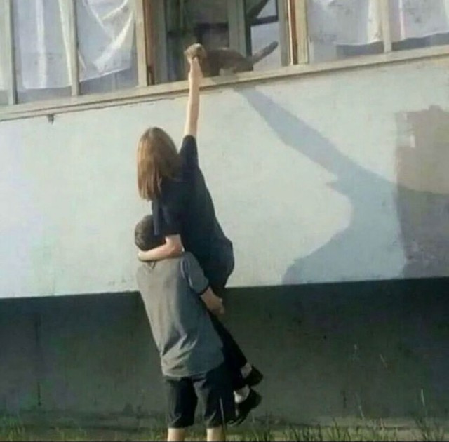 Timsko spašavanje mačke