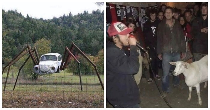 17 fotki koje će vam istovremeno biti urnebesne i poprilično zbunjujuće. Ovo se ne viđa svaki dan...