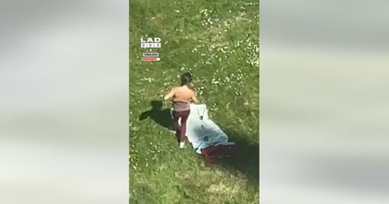 Sunčala se na livadi pored zgrade u izgradnji, morate vidjeti što su joj napravili bauštelci