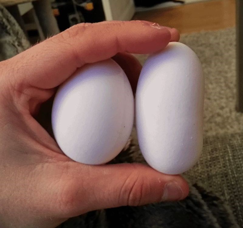 4. “Pronašao sam ovo čudno jaje u kutiji.”