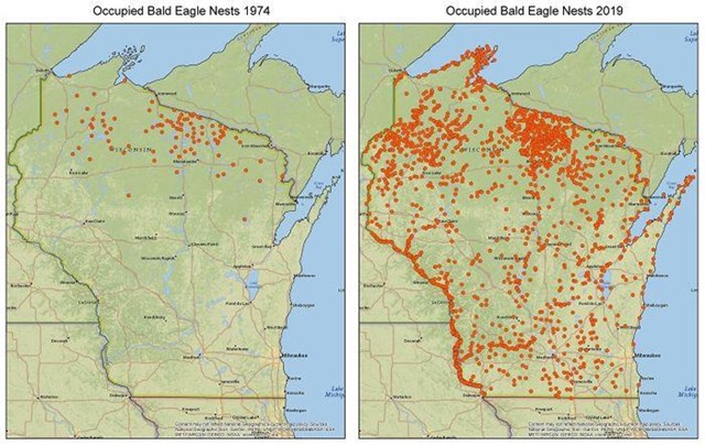 Gnijezda bjeloglavog orla u Wisconsinu 1974. u odnosu na 2019. Za rast je zaslužan Zakon o čistoj vodi