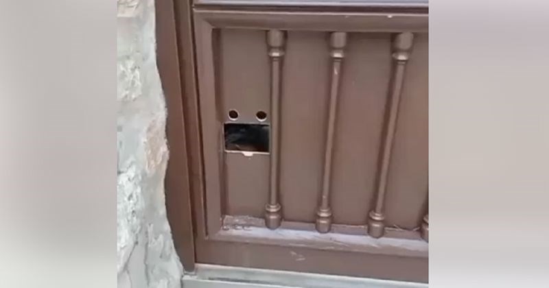 Detalj na ovim vratima oduševio je ekipu na Fejsu, a i vas će! Morate vidjeti