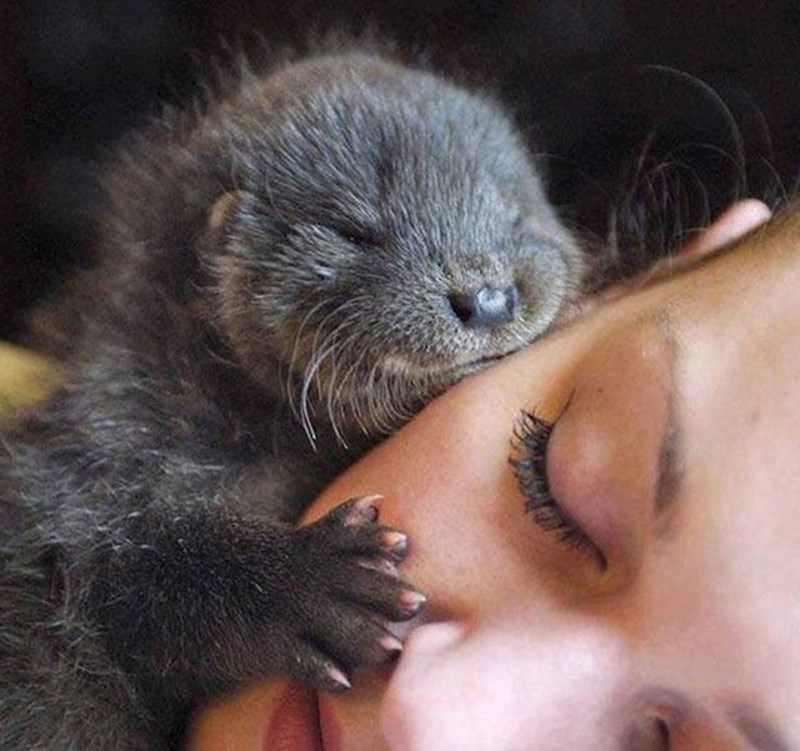 "Joooj, ovo je toliko slatko!"