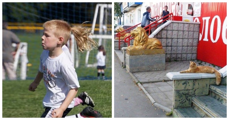 17 komičnih fotki koje nisu mogle biti okinute u boljem trenutku