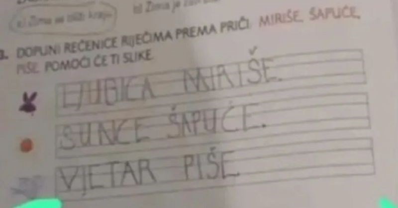 Odgovor klinca na pitanje u zadaći obišao je regiju brzinom munje, urnebesan je