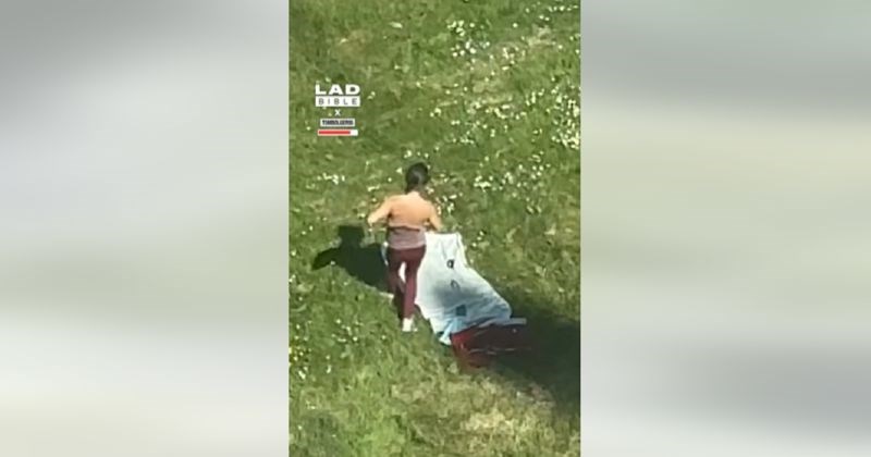 Sunčala se na livadi pored zgrade u izgradnji, morate vidjeti što su joj napravili bauštelci