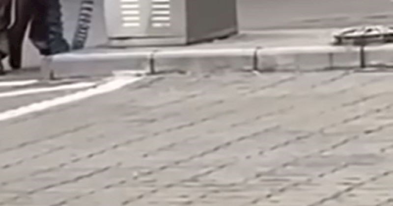 Tip snimljen na benzinskoj u bizarnoj "akciji" hit je u regiji, video je urnebesan