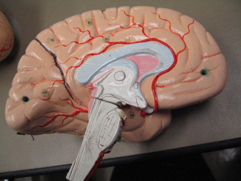 Ono što vidite, samo je ono što vaš mozak interpretira. Ne vidite sve, a ponekad vidite i stvari kojih nema. Na primjer, uvijek možete vidjeti svoj nos. Vaš mozak to jednostavno blokira, ali uvijek je tu, u vašem vidnom polju. Zamislite koje vam još stvari vaš mozak smisli, a da ne znate