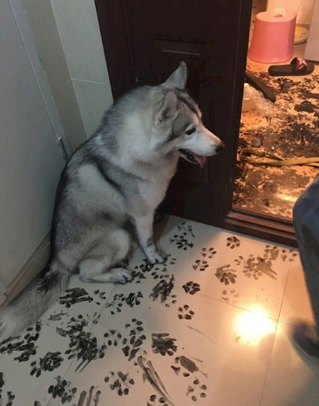 I kako se sad ljutiti na njega kad ni ne shvaća što je učinio?
